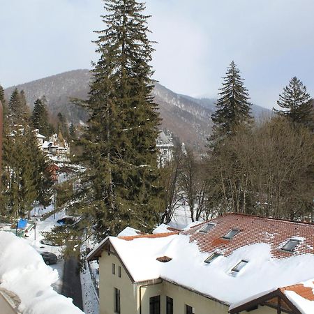 Central Park View Sinaia Exteriér fotografie
