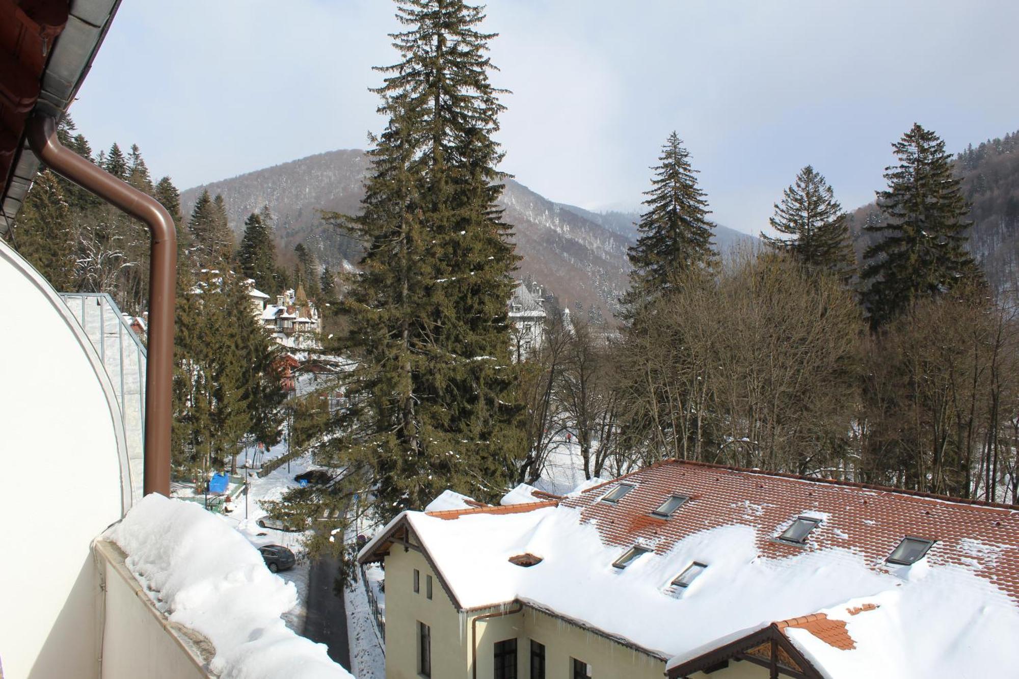 Central Park View Sinaia Exteriér fotografie