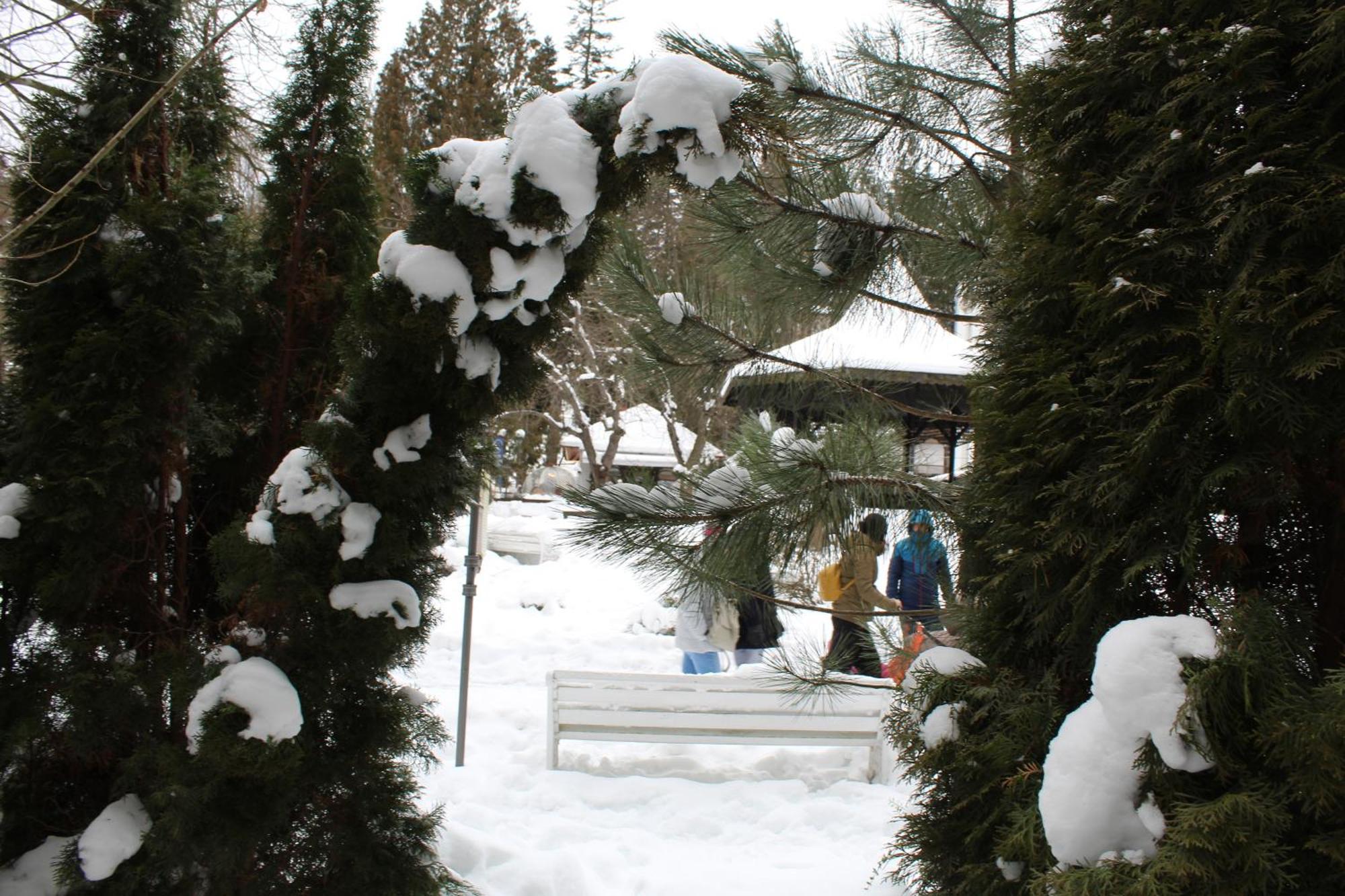 Central Park View Sinaia Exteriér fotografie