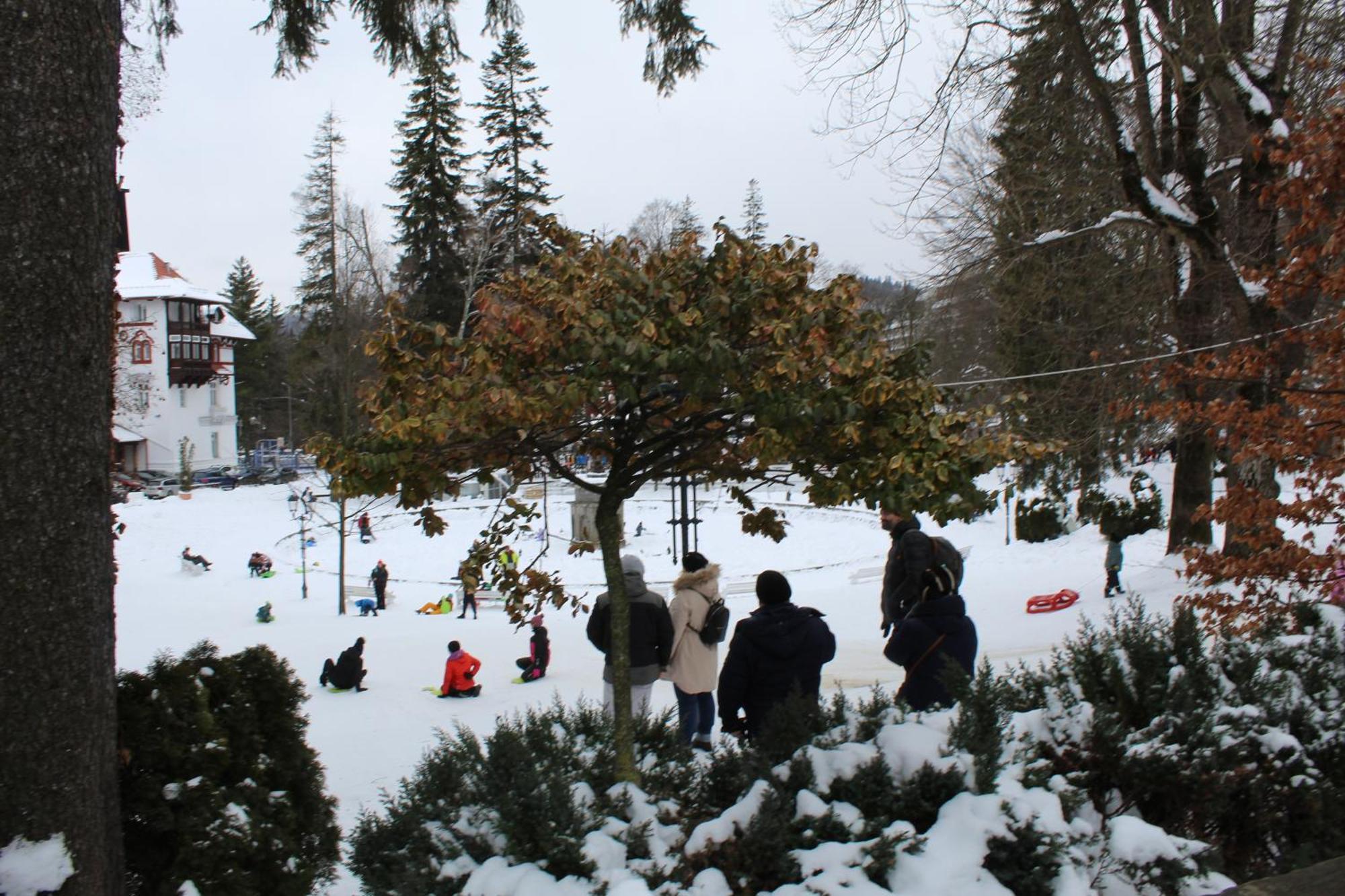 Central Park View Sinaia Exteriér fotografie
