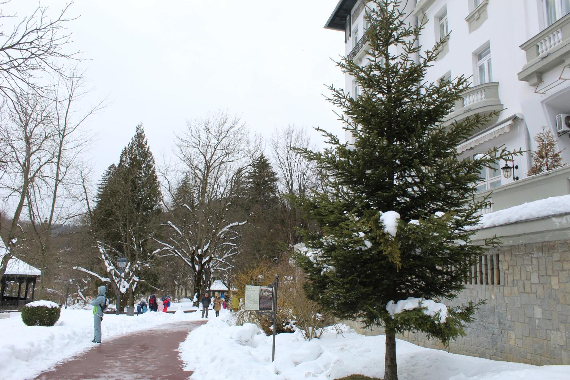 Central Park View Sinaia Exteriér fotografie