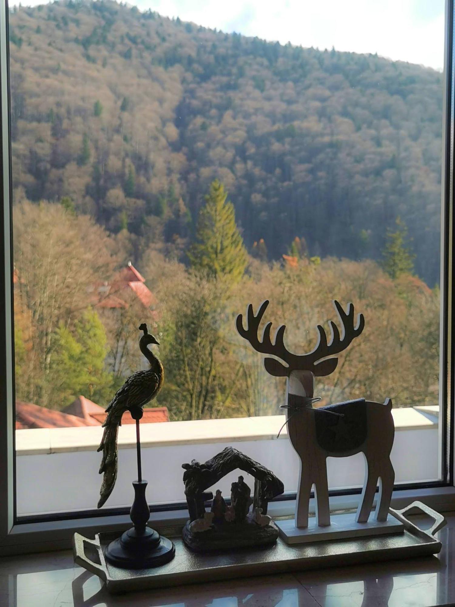 Central Park View Sinaia Exteriér fotografie