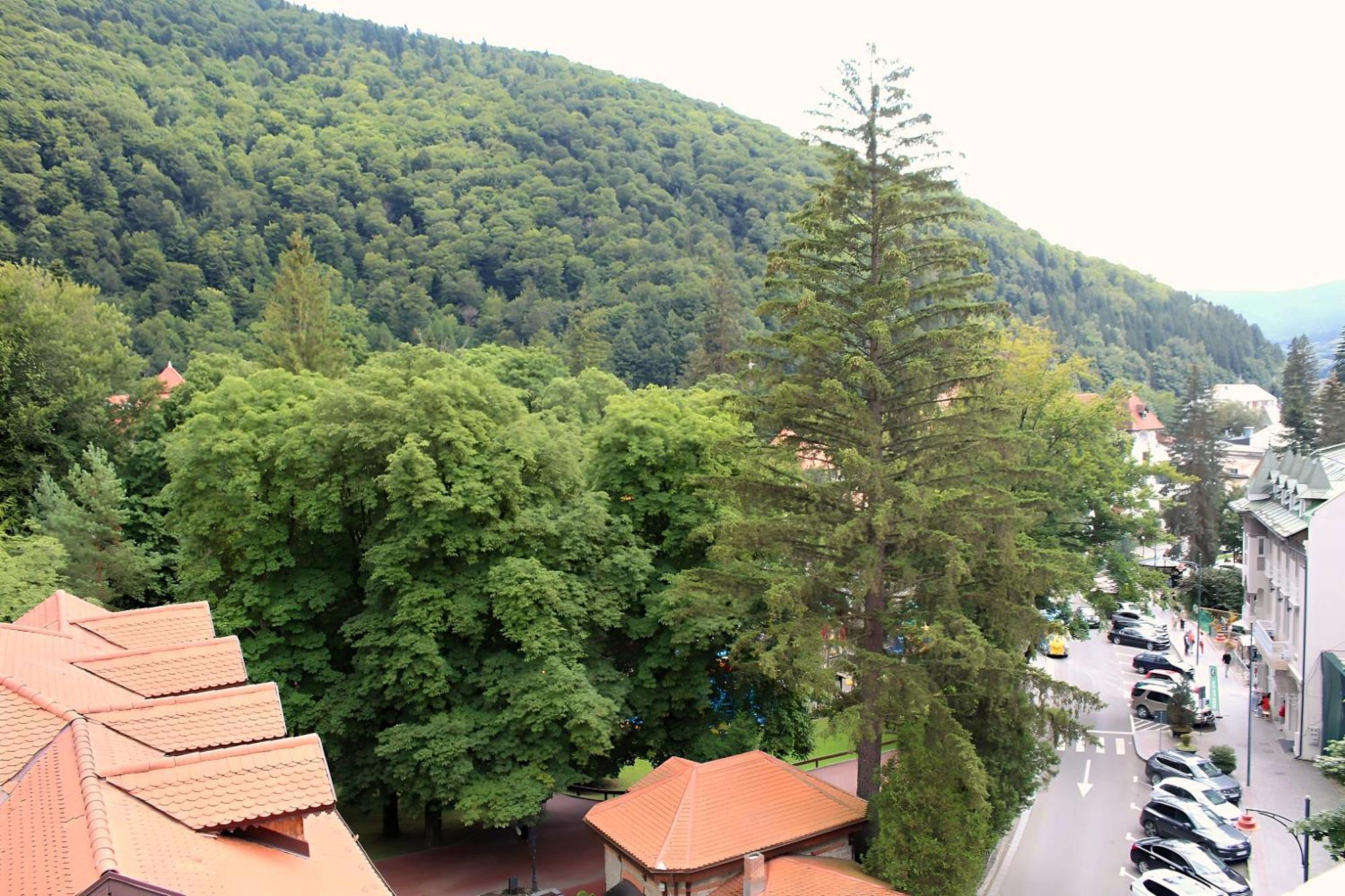 Central Park View Sinaia Exteriér fotografie